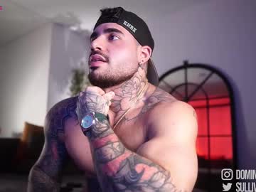 Dominic Sullivan1 live cam profile photo