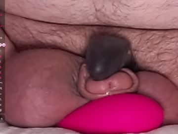 Harfang23 live cam preview — HD — slave — age 76