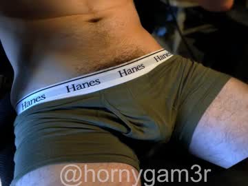 Hornygam3r live cam preview — HD — cum — age 36