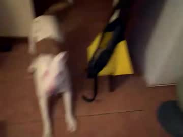 Ike6oodnigh live cam preview — HD — couple — age 0