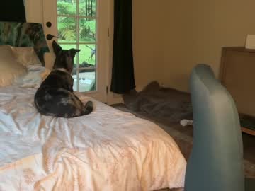 Kaileeshy live cam preview — live — age 0
