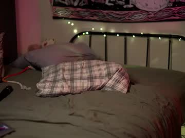 Lina N Kitty profile image (offline)