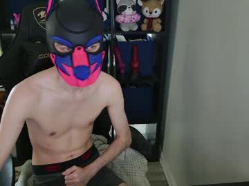 Mellpup live cam profile photo