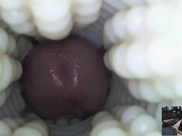 Xoxowtf live cam preview — HD — young — age 20